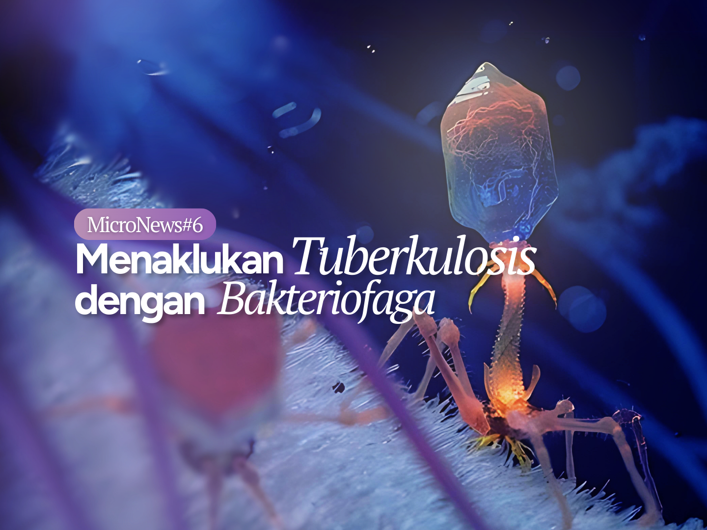 Menaklukkan Tuberkulosis dengan Bakteriofaga