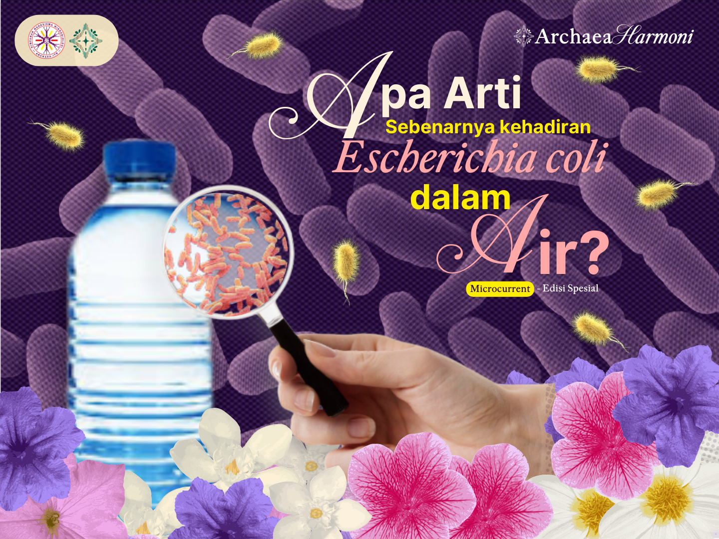 Apa Arti Sebenarnya Kehadiran Escherichia coli dalam Air?