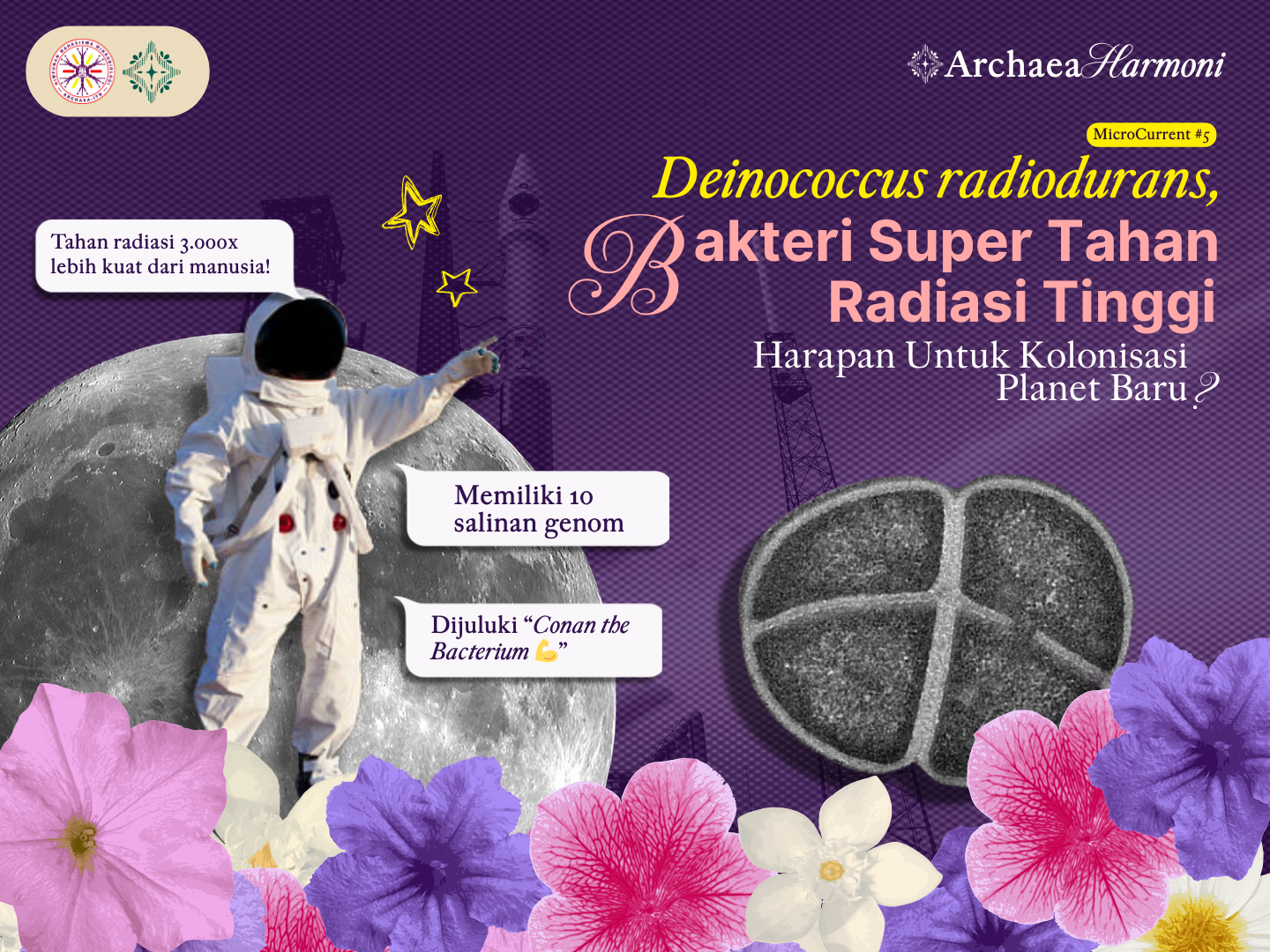 Deinococcus radiodurans: Bakteri super tahan radiasi tinggi, harapan untuk kolonisasi planet baru?
